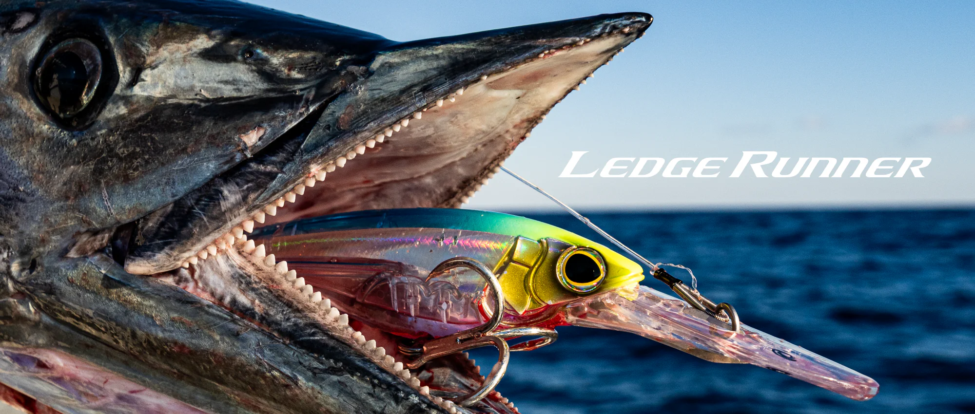 Gear Up With Expert Anglers